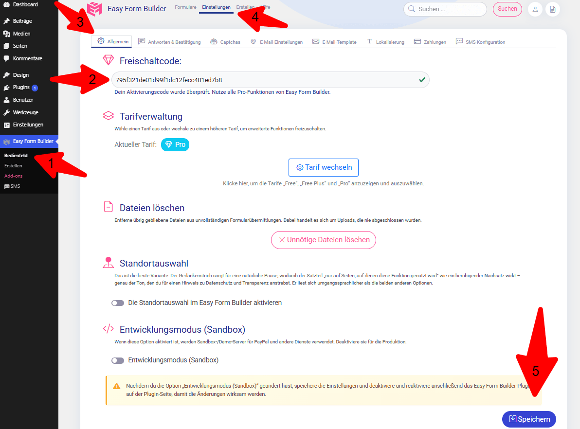 Eingabe des Aktivierungscodes in den Einstellungen von Easy Form Builder
